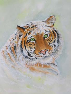 Print - Tiger - Enlightenment