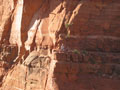 Will at Cathedral Rock