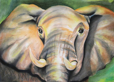 Print - elefant - Remembering the Truth